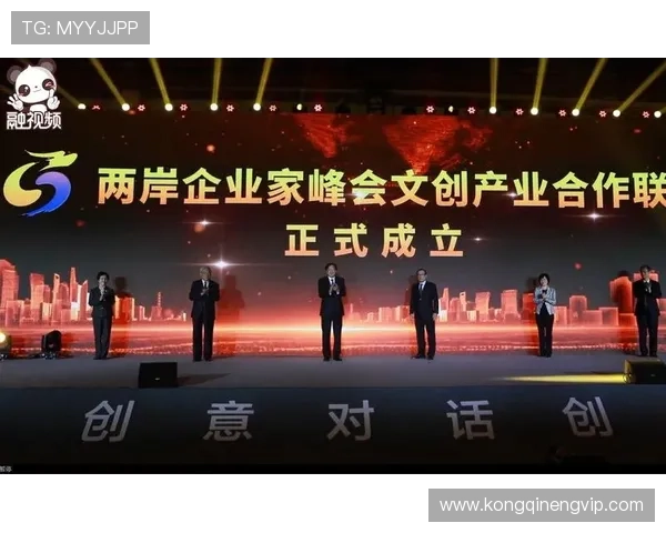 两岸企业家峰会：深化合作与创新推动两岸经济共同发展